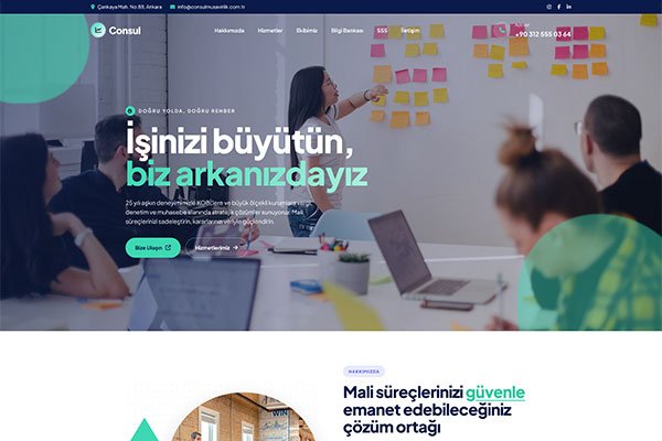 Consul Müşavir – Tek Sayfa Site