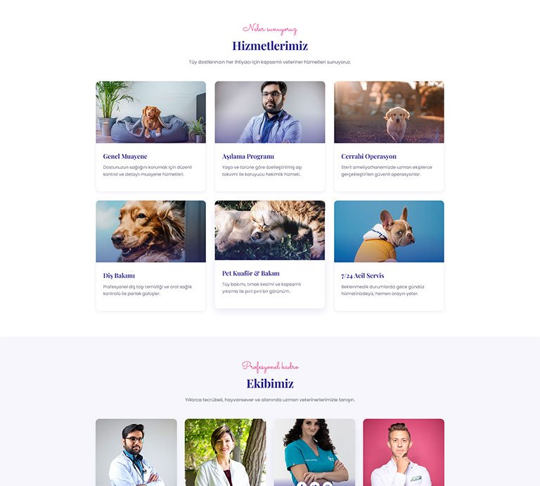 Paticare Veteriner – Tek Sayfa Site