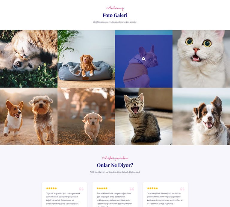 Paticare Veteriner – Tek Sayfa Site