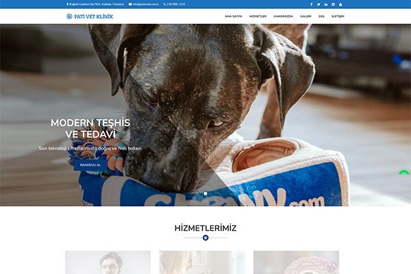 Patiweb Veteriner – Tek Sayfa Site