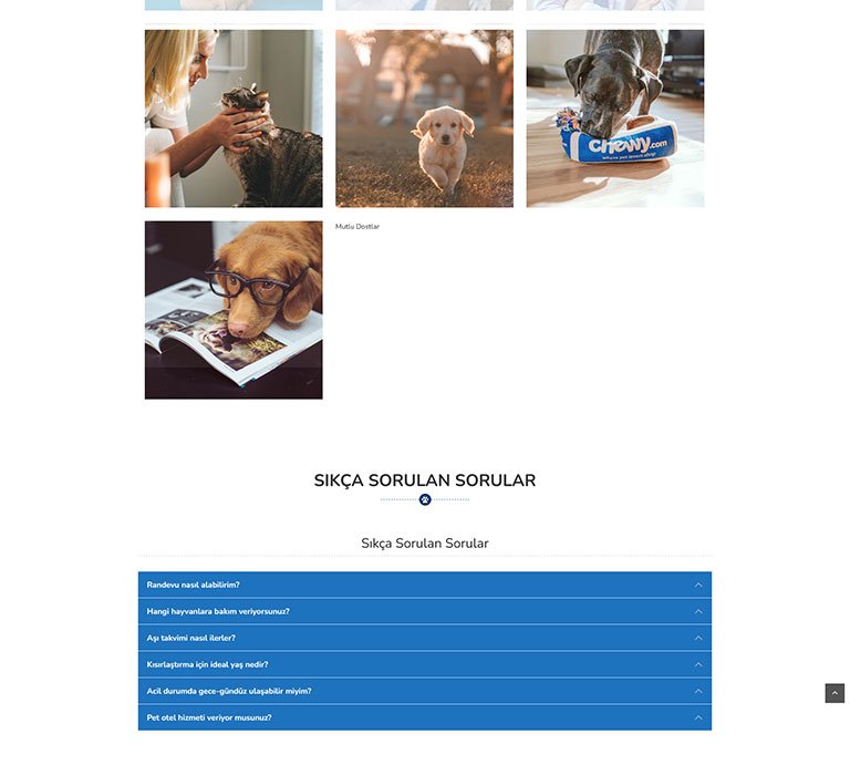 Patiweb Veteriner – Tek Sayfa Site