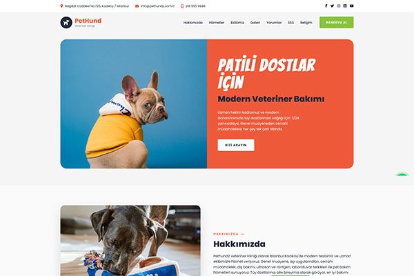 Pethund 2 Veteriner – Tek Sayfa Site