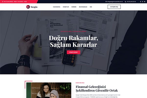 Sezgin Müşavir – Tek Sayfa Site