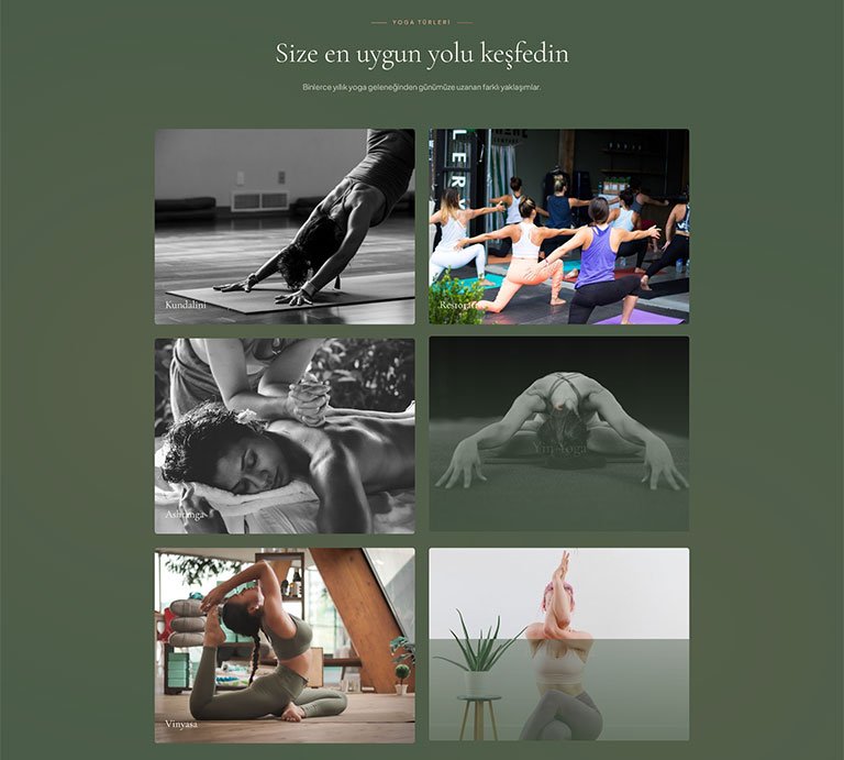 Serenite Yoga Stüdyo – Çoklu Sayfa Site